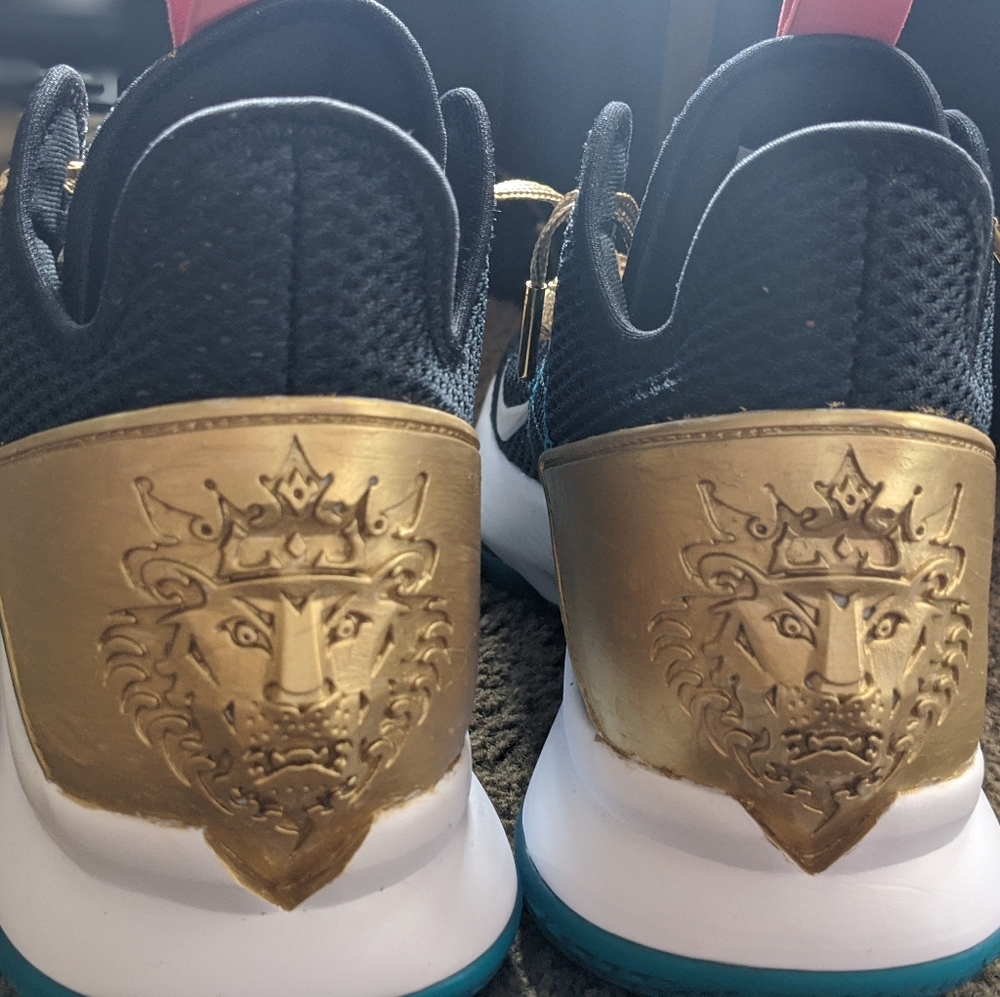Custom Lion Lebrons